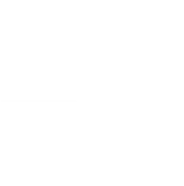 IT, design and digital marketing services