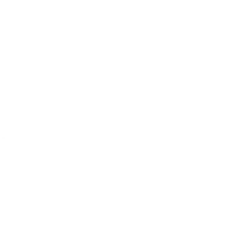 Custom web and software development solutions tailored to improve business efficiency, increase sales, and attract new clients